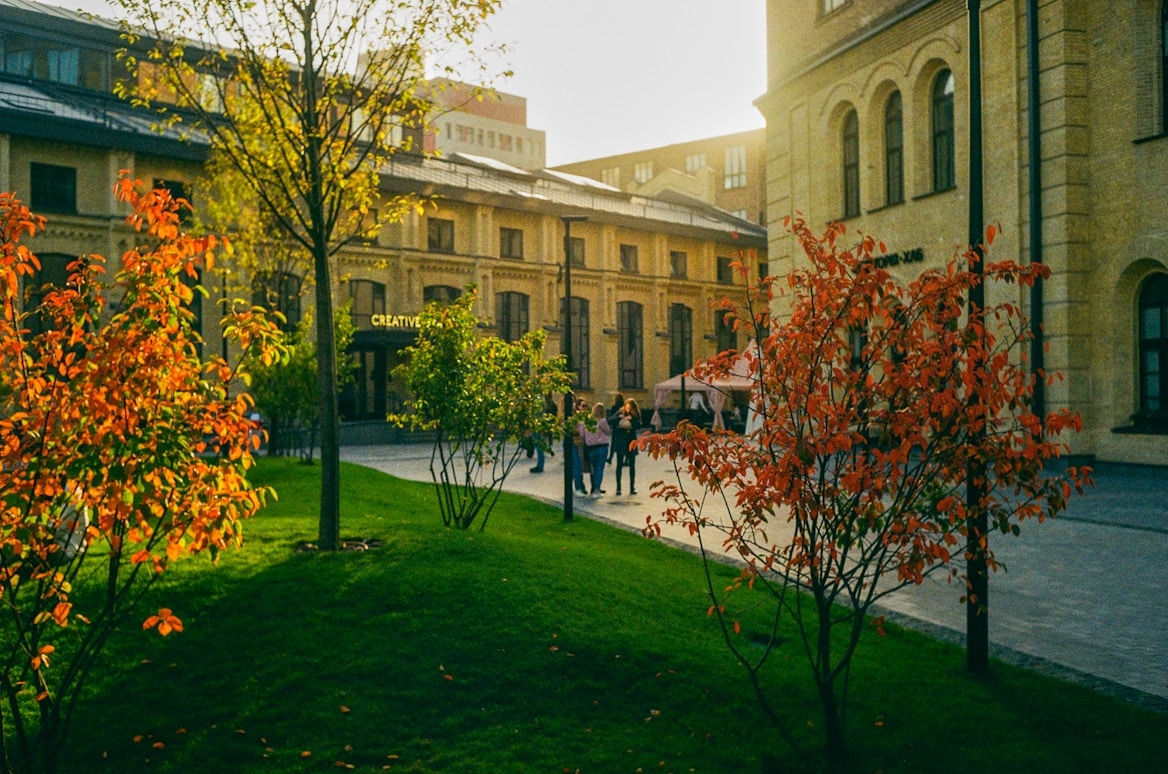 Una plaza con árboles de otoño y edificios al fondo iluminados por la luz del atardecer.